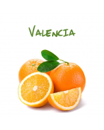 Arance bionde Sicilia, varietà Valencia
