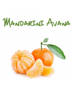 Mandarini Sicilia, vendita online