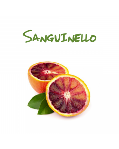 Selezione e vendita arance polpa rossa Sicilia