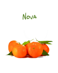 Nova-10Kg